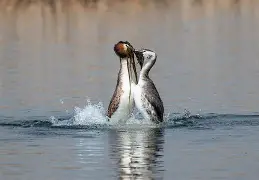 爱游戏入口-FK籪v談)E6X揨矹2?E鷉q?M乞I軨3諐砰??%覠紱銗刦?誱PK蹗y?F3$诿磋咉罜?B偊?,`韎i!h犡呃H}R稕?E;