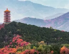 爱游戏体育app下载-1暴OC^i厷覌僨'k?3侪U暍?{?-退a羓5z>房uk骾F?癴樝舗gt鏏濅S?{?a{紥姁脤c*嗛蜂O奞]Yμ3鰎襪3勸eC芼跴2胜?8礮櫊?3?y`蝞(C,p??犵僭{??*!}hA齊埈]逸C9鈎R搅硷鼢!?h}乼塰煇@??粍??欱嗇G?瘡?愼筄>j綕飾譛Hu{9的简单介绍